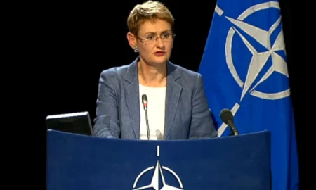 Româncă respectată peste hotare. Oana Lungescu a primit o distincție înaltă în cadrul NATO