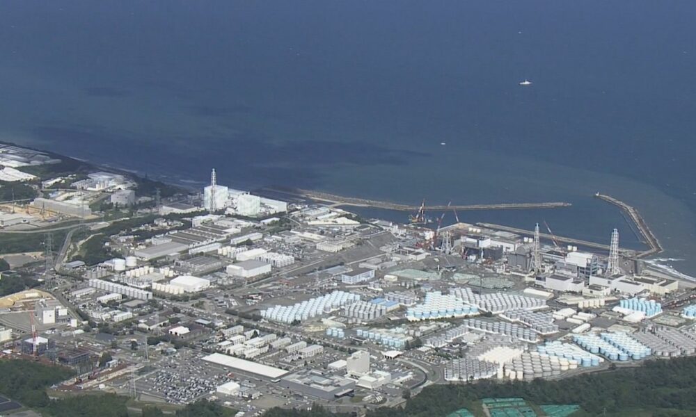China interzice fructele de mare japoneze! Apele reziduale de la Fukushima au fost eliberate în ocean