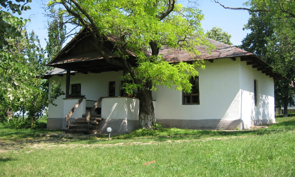Se organizează spectacole gratuite de folk și blues, finanțate din fonduri PNRR la Botoșani