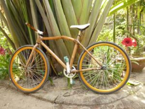 biciclete de bambus Cuba Sursă foto bamboobee.net