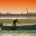 Pescuitul este una dintre activitățile de bază cu care se ocupă locuitorii din satale de pelângă Delta Dunării (sursă foto: Dreamstime)