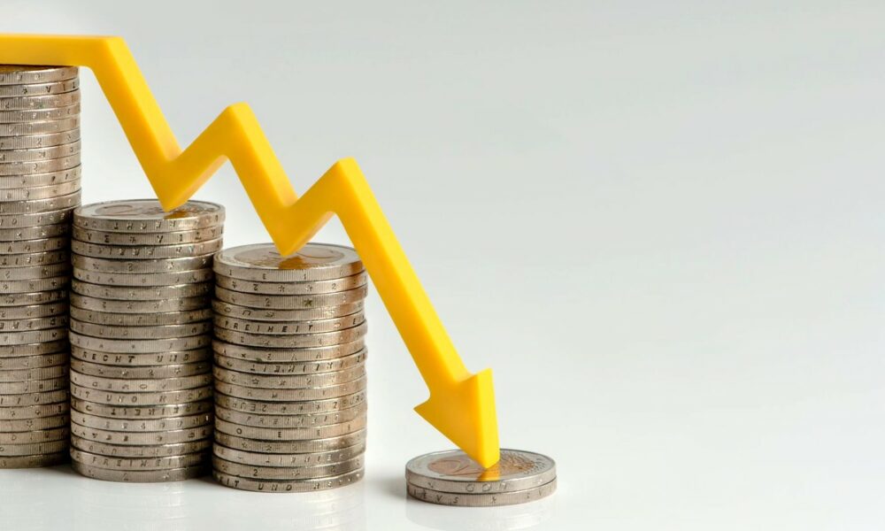 Prognoza OECD pentru 2024: Creșterea economiei globale va încetini