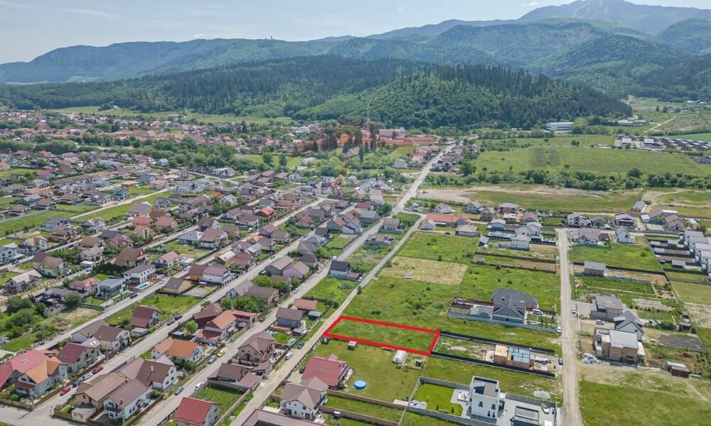 Europol: ”Crima organizată spală bani prin intermediul proprietăților imobiliare europene!”