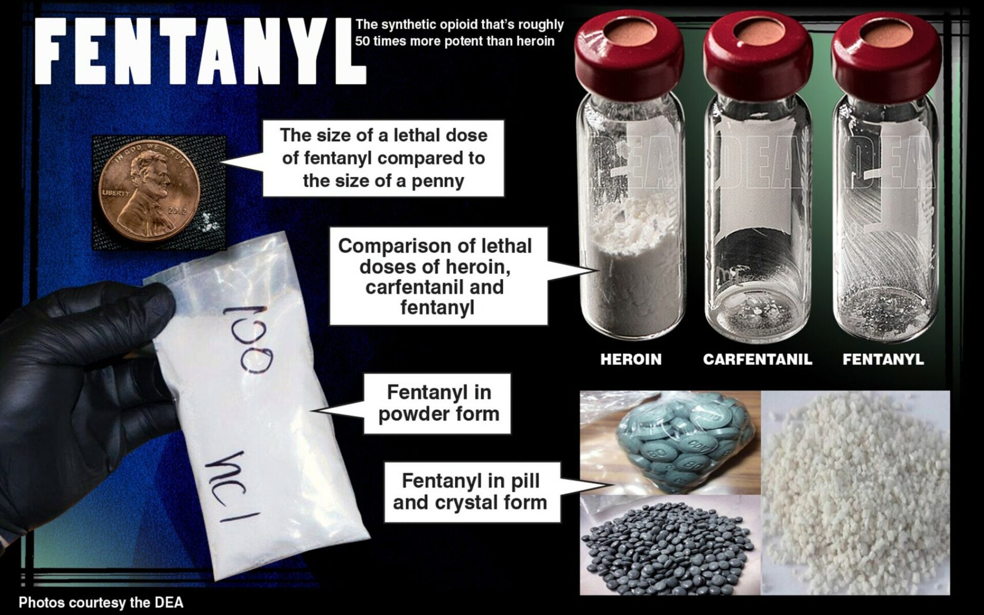 Fetanil.v1