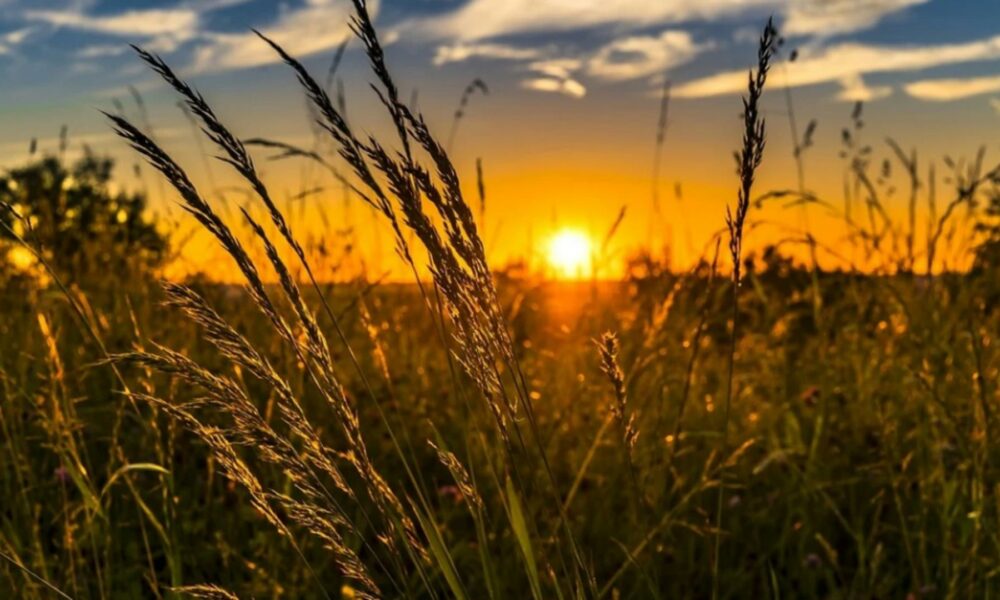 ANM a emis prognoza meteo pentru următoarea perioadă. Temperaturi peste media perioadei