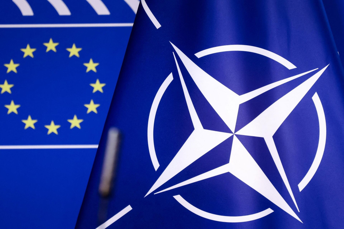 nato (sursă foto: dreamstime)