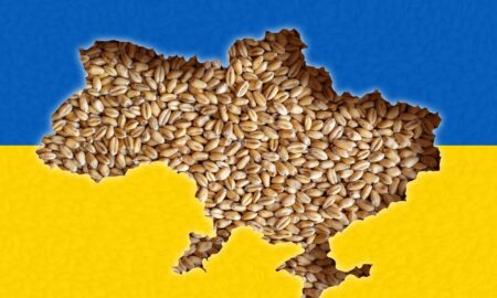 cereale Ucraina (sursă foto: dreamstime)
