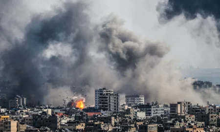 Gaza Sursa foto Arhiva companiei