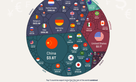 Exporturi în lume Sursa foto visualcapitalist.com