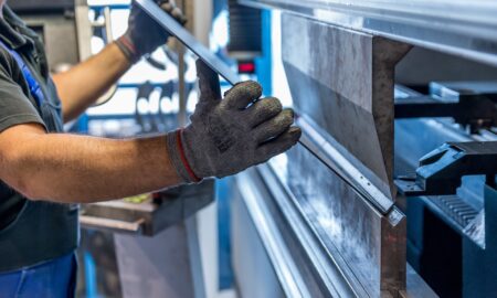 INS, date despre Industria prelucratoare