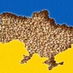 cereale ucraina (sursă foto: capital.ro)