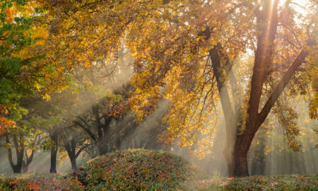 vremea (sursă foto: dreamstime)