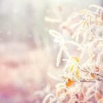vremea (sursă foto: dreamstime)