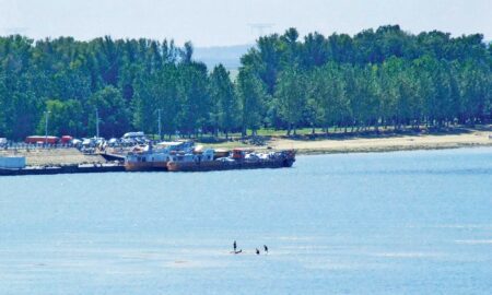 Dunărea, într-o situație critică. Autoritățile au interzis pescuitul