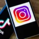 Instagram si TikTok Sursa foto Arhiva companiei