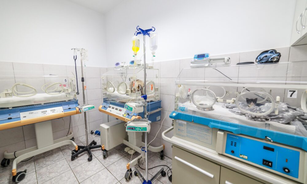 Costuri foarte mari la medicii veterinari! Fermierii își permit cu greu