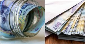 bani voucher (sursă foto: mediaflux.ro)