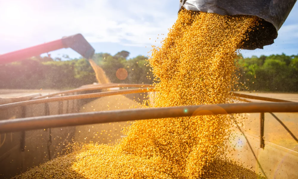 Statistica zilei: Prețul mediu al bunurilor agricole a scăzut cu 2%