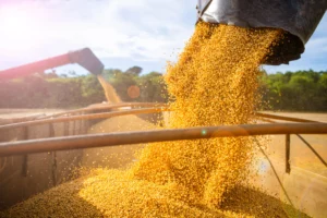 agricultură (sursă foto: fastmarkets.com)