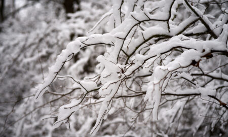 ger ninsoare vreme (Sursă foto: Europa FM)