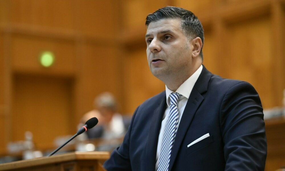 Planurile ASF. Care sunt obiectivele președintelui pe perioada mandatului