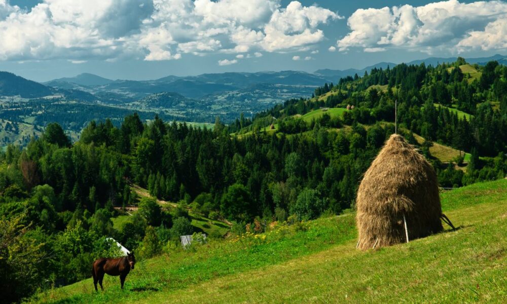 Agroturismul, o oportunitate ratată repetat de stat. Dar salvată la nivel local