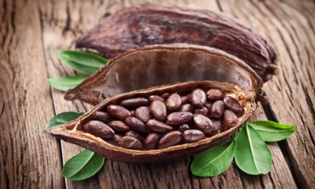 La începutul anului prețul la cacao s-a dublat.