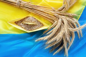 cereale ucraina (sursă foto: Radio Europa FM)
