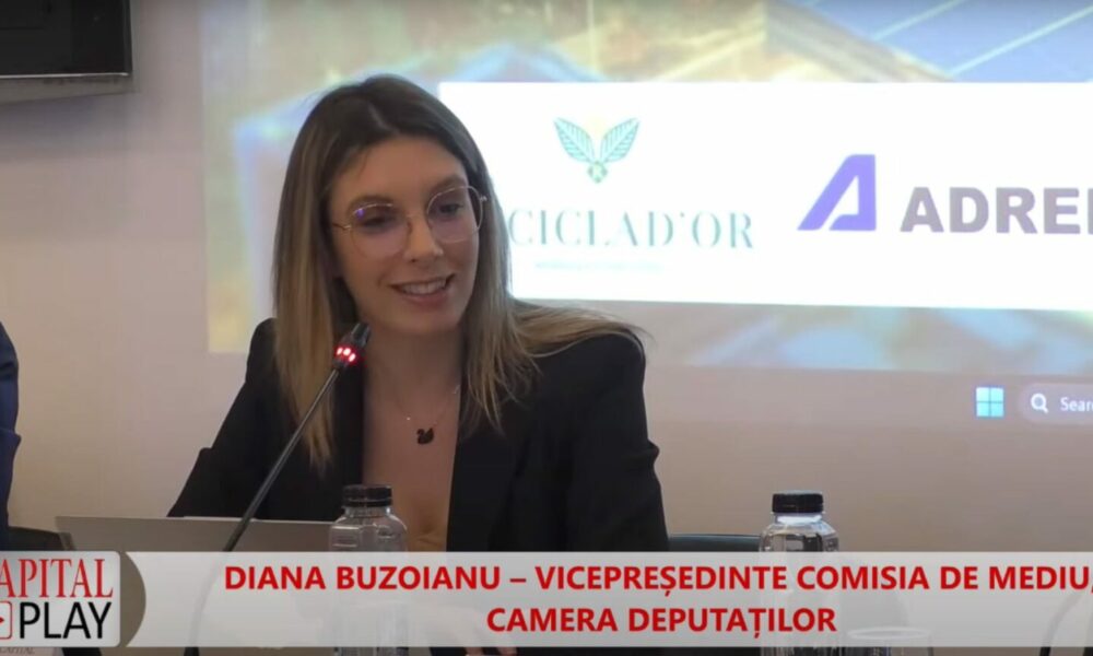 Diana Buzoianu, vicepreședinte Comisia de mediu: „Nu putem demonstra infracțiunea de arderi ilegale“
