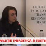 Ramona Moldovan, ministerul Energiei