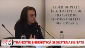 Ramona Moldovan, ministerul Energiei