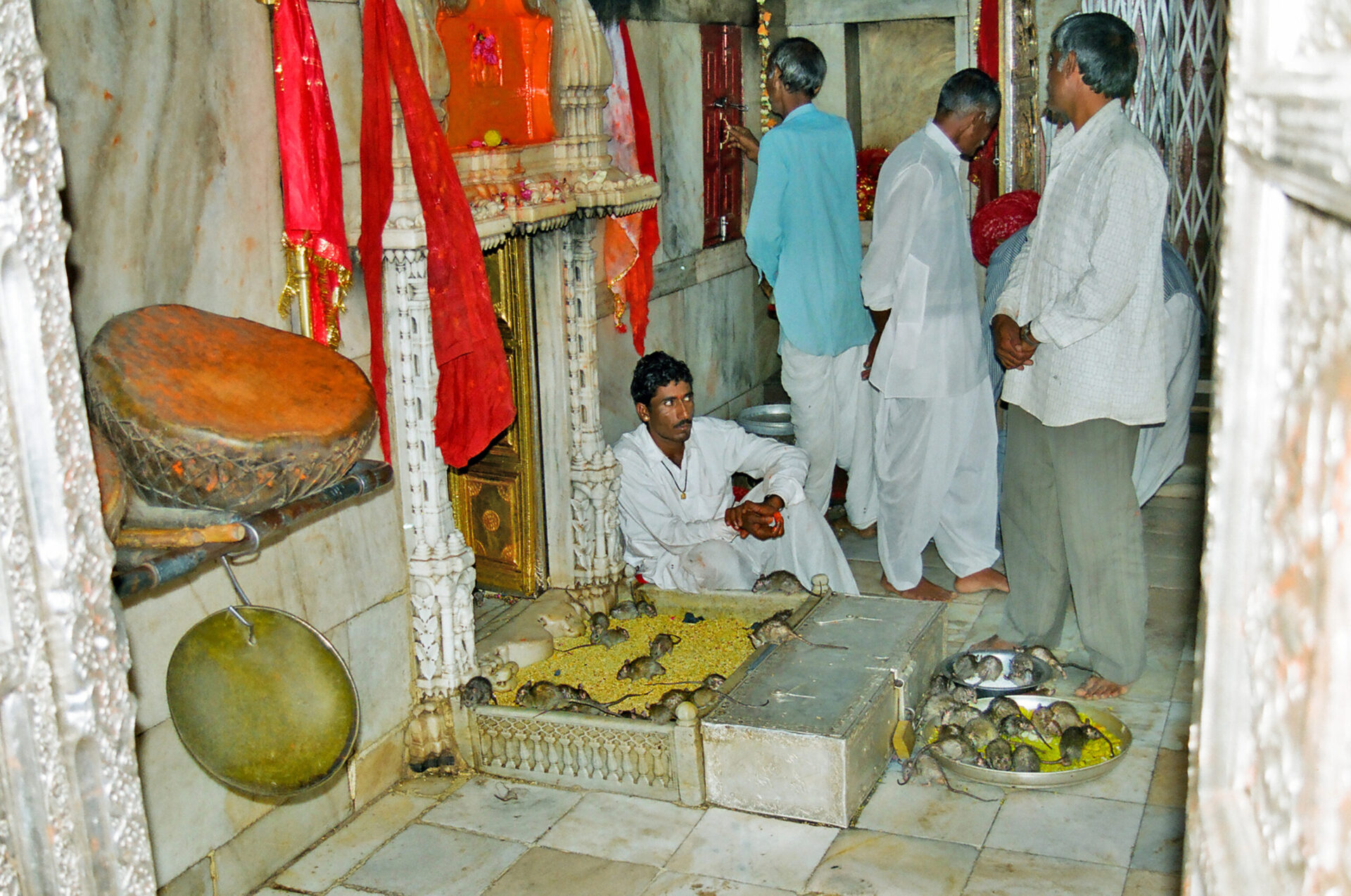 Templul Karni Mata, sursa foto: dreamstime.com