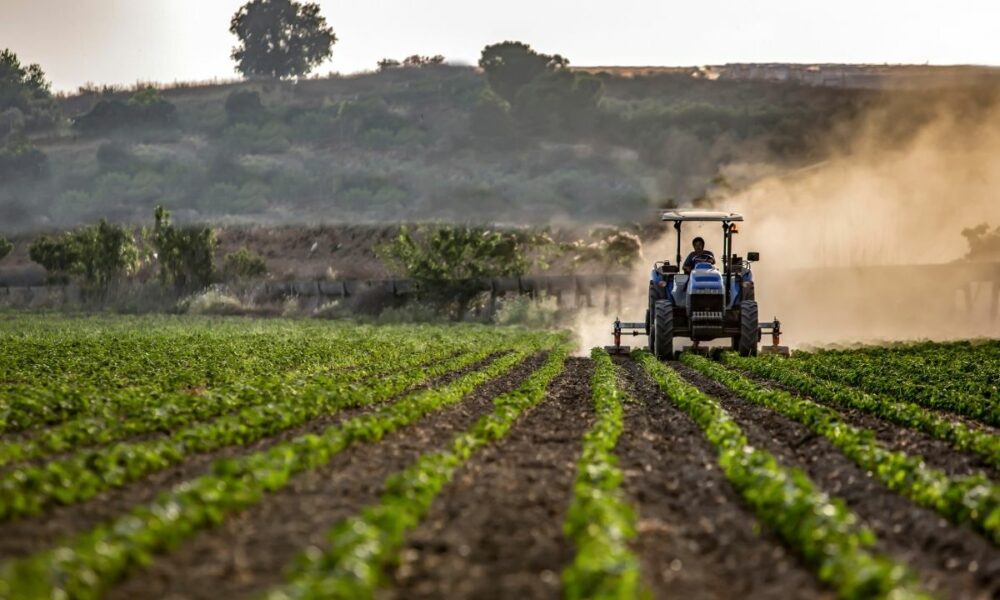 Despăgubirile pentru culturi s-a triplat în 2024. Cum pot încheia fermierii asigurări agricole