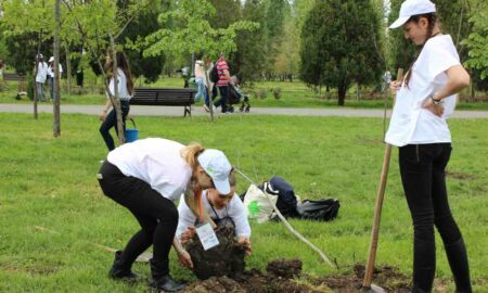 Pădure de la zero la Curtea de Argeș!  400 de voluntari vor planta 15.000 de puieți