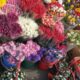vanzatori flori, sursa foto antena 3
