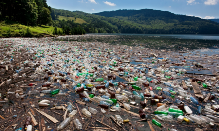 gunoi românia (Sursă foto: eco-romania.ro)