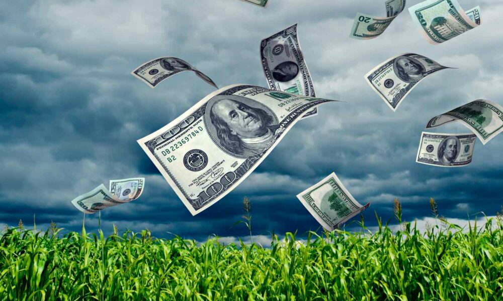 Agricultură de lux: Când miile de dolari cresc în copaci și în pământ