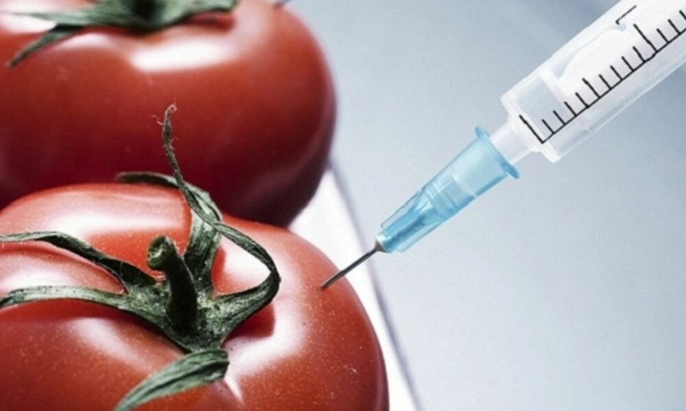Ce alimente conțin cei mai mulți aditivi? Consumul lor poate duce la cancer