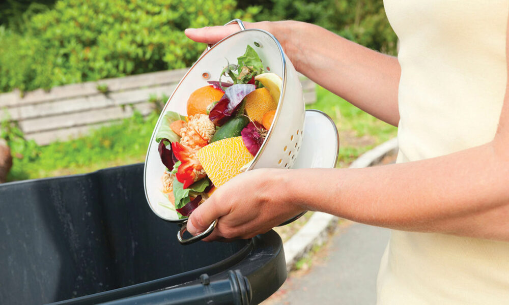 Bani aruncați la gunoi! Odată cu alimentele risipite