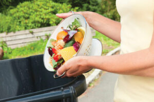 alimente gunoi (sursă foto: studiu-online.ro)