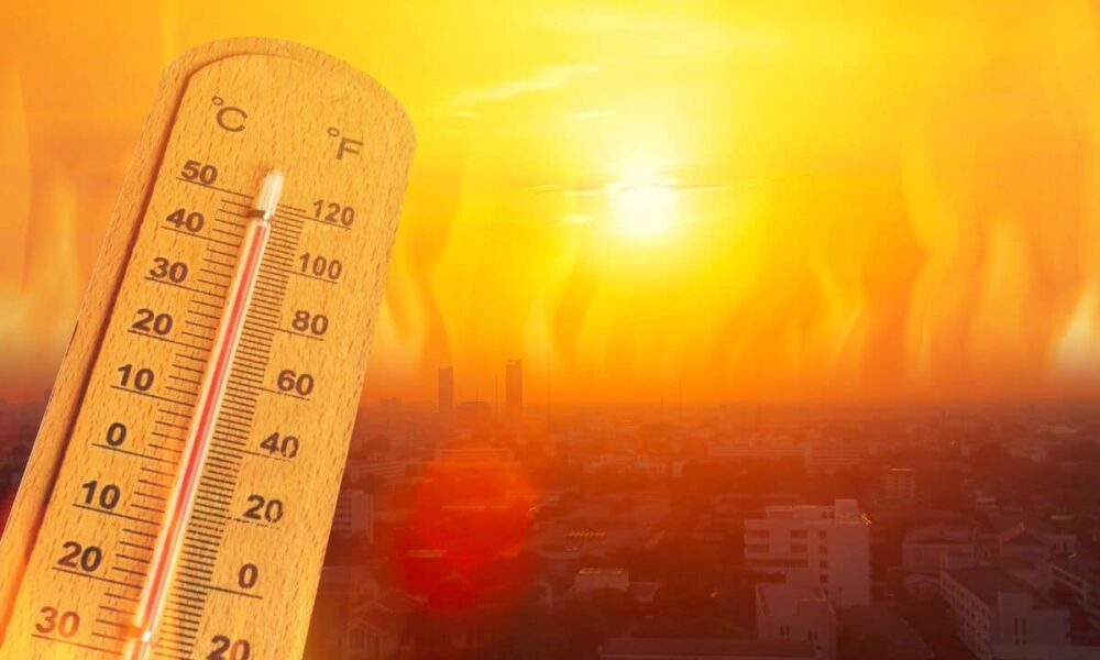 Semnal de alarmă la nivel global: Temperaturile de anul acesta au atins un record istoric