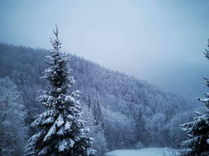 vreme ninsoare (sursă foto: observatornews.ro)