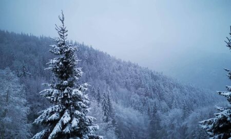 vreme ninsoare (sursă foto: observatornews.ro)