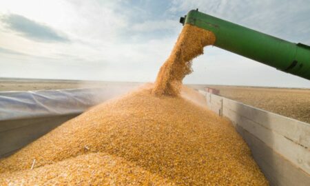 taxe vamale (sursă foto: moldova1.md)