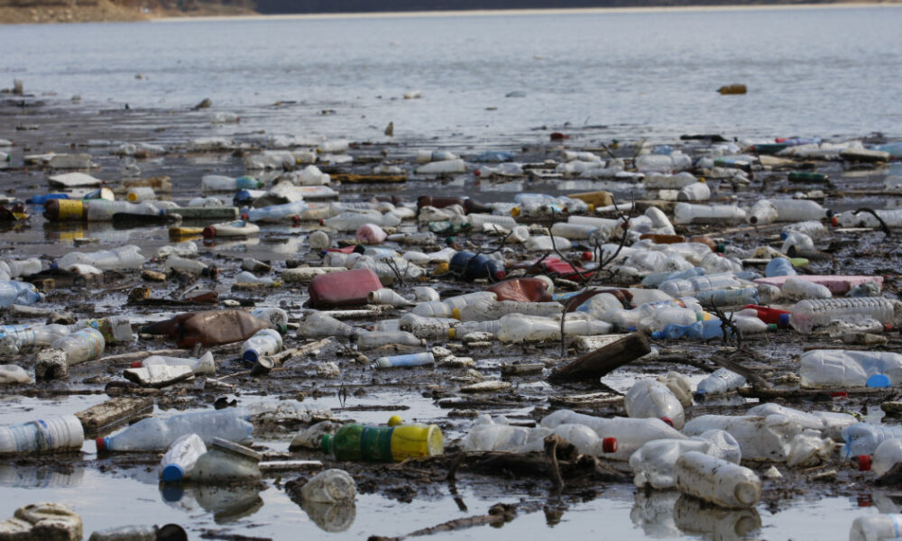 Poluare extremă pe litoral. Sezonul estival a venit cu o mare de pet-uri și gunoaie