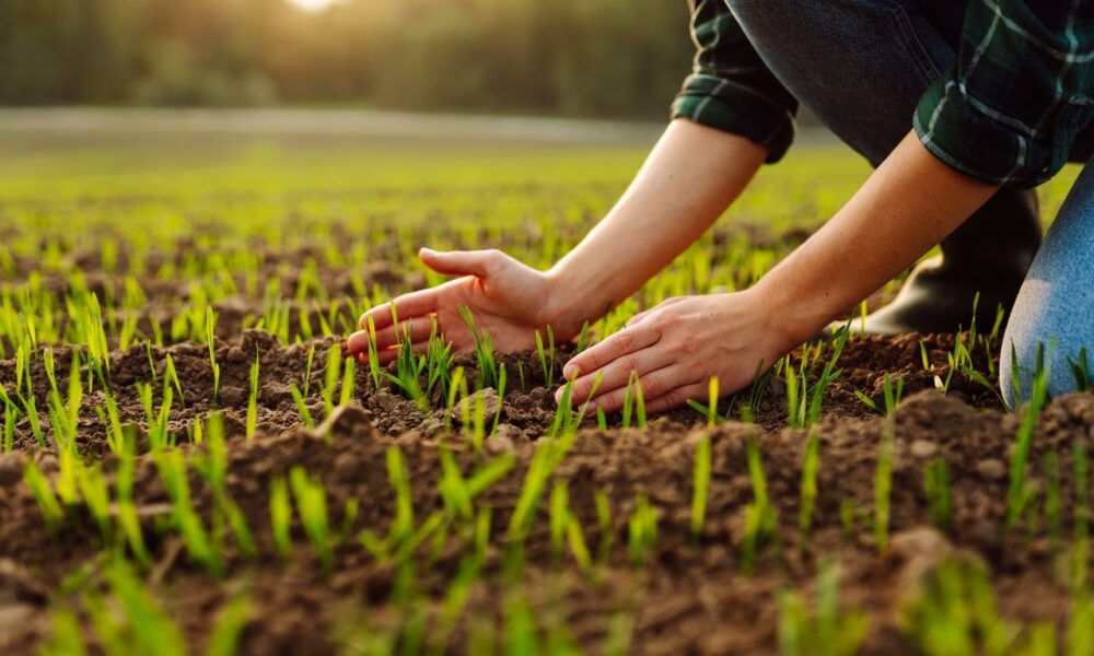 ADAMA a publicat Raportul ESG 2023. Amprenta de carbon a fost redusă cu 14%