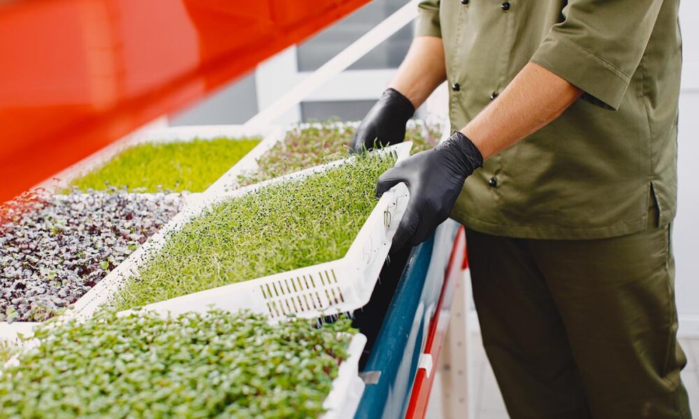 Provocări pentru industria Horeca în 2025. Una dintre cele mai mari probleme este lipsa personalului