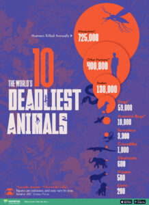 Lumea în cifre: Top 10 cele mai periculoase animale