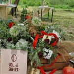 Picătura de business: Afacere cu sol și suflet. Cum poți face bani făcând bine