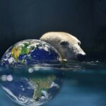 Temperatura globală, în creștere, Sursa foto Arhiva companiei